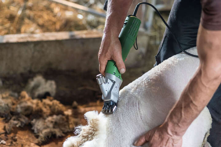 KERBL Schafschermaschine constanta4